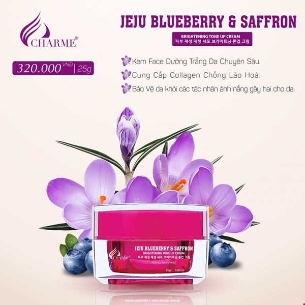 KEM DƯỠNG DA MẶT JEJU BLUEBERRY & SAFFRON 25g